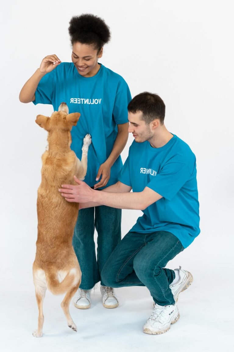 Two volunteers in blue shirts playing with a cheerful dog indoors, fostering joy.